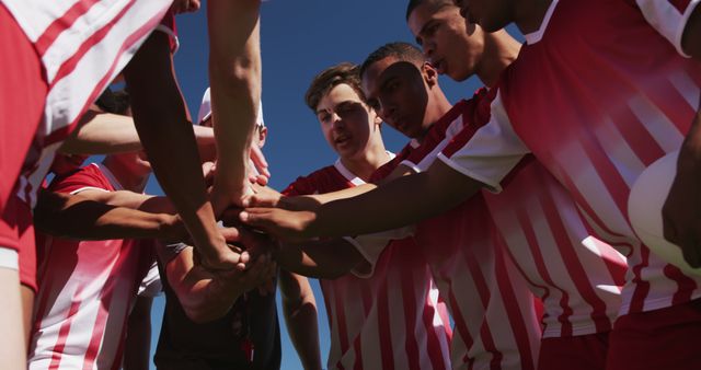 Motivated Young Soccer Team Huddling Before Match for Team Spirit - Download Free Stock Images Pikwizard.com