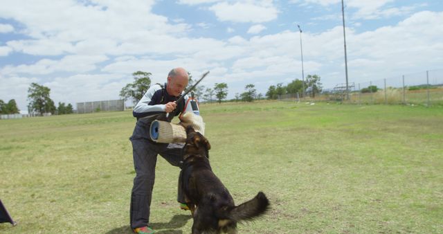 Trainer in Protective Gear Holding Dummy While Dog Bites - Download Free Stock Images Pikwizard.com