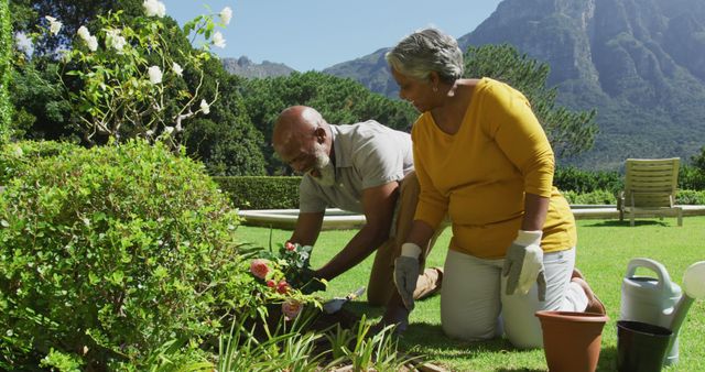 Senior couple gardening together on a sunny day in a beautiful outdoor setting with mountains in the background. The man is planting flowers while the woman assists, both wearing casual clothing. Ideal for projects regarding retirement, leisure activities, healthy lifestyle, outdoor hobbies, and elderly well-being.