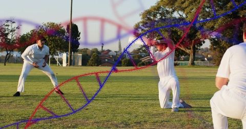 Cricket training in suburban park with dna helix overlay connecting sport and genetics