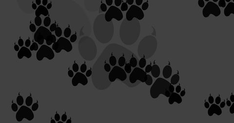 Seamless Black Dog Paw Print Pattern on Dark Grey - Download Free Stock Images Pikwizard.com