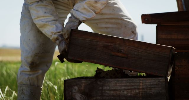 Beekeeper Lifting Hive Box in Field - Download Free Stock Images Pikwizard.com