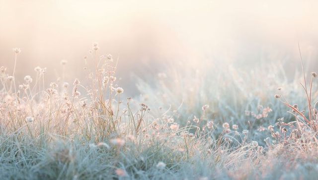 Pastel frosted meadow at sunrise with backlit wildflowers, dew-covered grass, soft bokeh glow