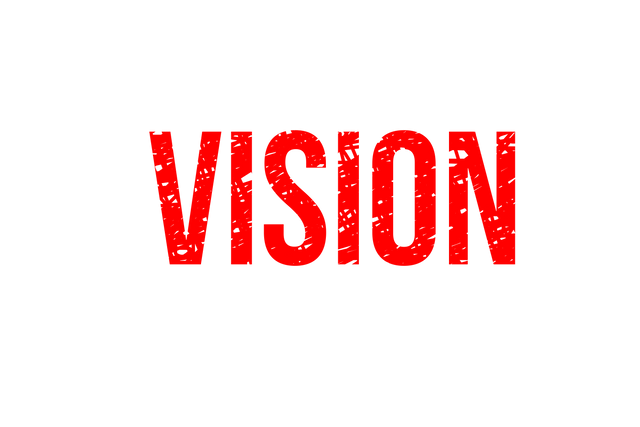 Bold Red Vision Text on Transparent Background - Download Free Stock Videos Pikwizard.com