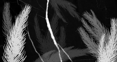 Abstract monochrome lightning and botanical design