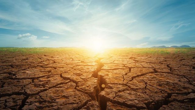 Cracked earth forming deep fissure at sunrise showing severe drought and soil erosion