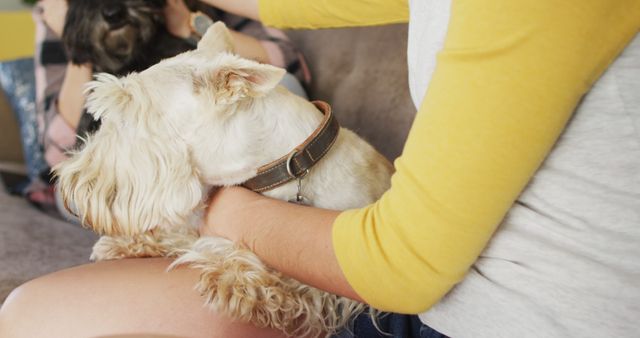 Person sitting on sofa with small dog on their lap, arm gently placed on the dog. Best for illustrating themes of relaxation, pet companionship, or domestic comfort.