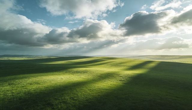 Sunlit rolling grassland casting long shadows under dramatic cloudscape