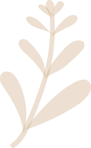 Stylized botanic plant branch on transparent background