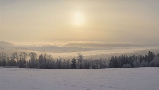Mist-filled winter valley at sunrise with frosted trees and snow-covered meadow