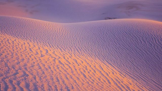 Pastel desert dune at sunrise with curving ripples, soft shadows and minimal texture