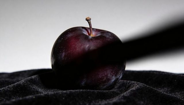 Moody purple plum on black velvet with dramatic diagonal light and high contrast