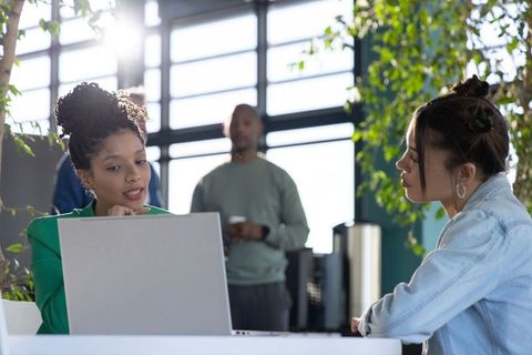 Diverse coworkers collaborating over laptop in bright office lounge with plants