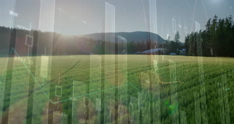 Financial Data Integrating with Agricultural Fields