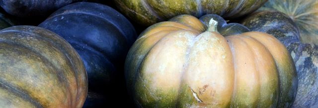 This close-up image of variegated pumpkins emphasizes the texture and color diversity of the produce. Suitable for use in autumn marketing materials, farmers market promotions, or organic vegetable advertising. Could be beneficial for illustrating seasonal food recipes or garden-related content.