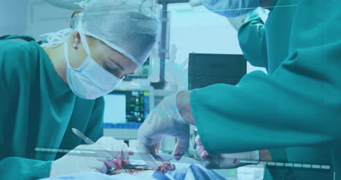 Surgeons Operating in Virtual Overlay Concept