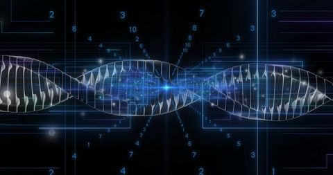 Digital DNA Strand and Dynamic Data Network - Download Free Stock Images Pikwizard.com