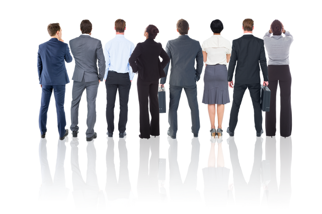 Back View of Diverse Professionals on Transparent Background - Download Free Stock Videos Pikwizard.com