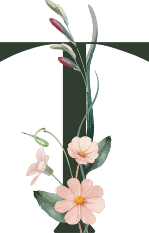 Floral Watercolor Art with Pink Daisies on Transparent Background