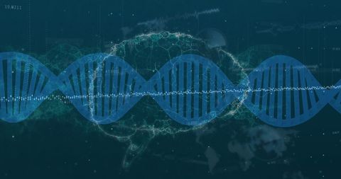 rotating dna strand above human brain with digital data overlay - Download Free Stock Images Pikwizard.com