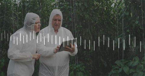 Researchers using technology for greenhouse plant monitoring