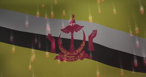 Flag of Brunei with Digital Binary Code Overlay - Download Free Stock Images Pikwizard.com