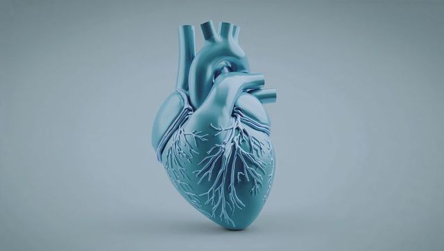 Floating stylized 3d heart illustrating coronary arteries and aorta on pale blue-gray backdrop