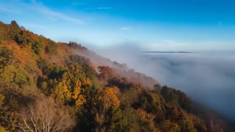 Drone Viewed Hill with Vibrant Autumn Foliage and Rolling Fog