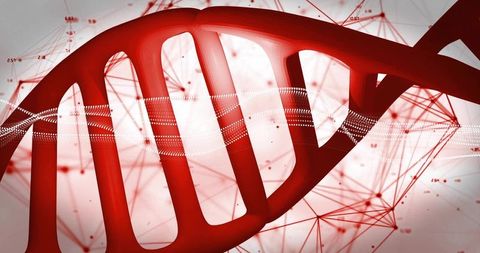 Red DNA Helix with Digital Waveform and Network Mesh for Genomics and Biotechnology
