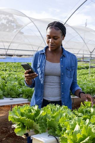 African american woman using smartphone in hydroponic greenhouse