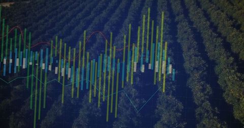 Financial Chart Overlaid on Orchard Aerial, Merging Agriculture and Finance