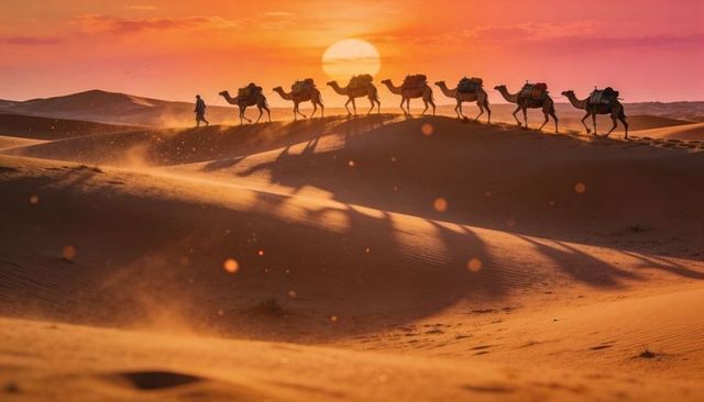 Leading caravan crossing golden desert dunes at sunset, silhouetted camel handler