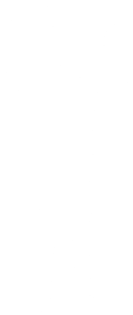 Transparent Silhouette Vector of Man Cheering Holding Scarf Up - Download Free Stock Videos Pikwizard.com