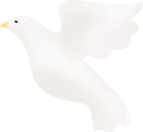 Stylized Dove in Elegant Glide on Transparent Background