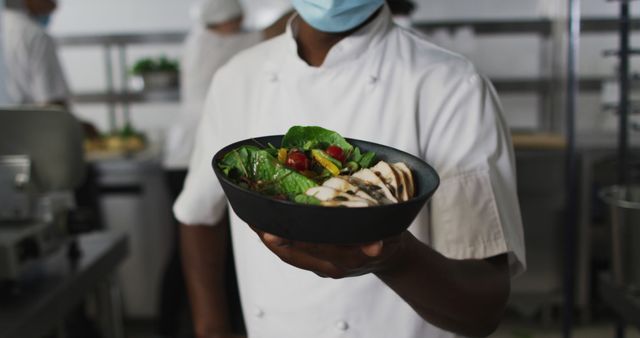 Chef Holding Fresh Salad with Grilled Chicken in Professional Kitchen - Download Free Stock Images Pikwizard.com