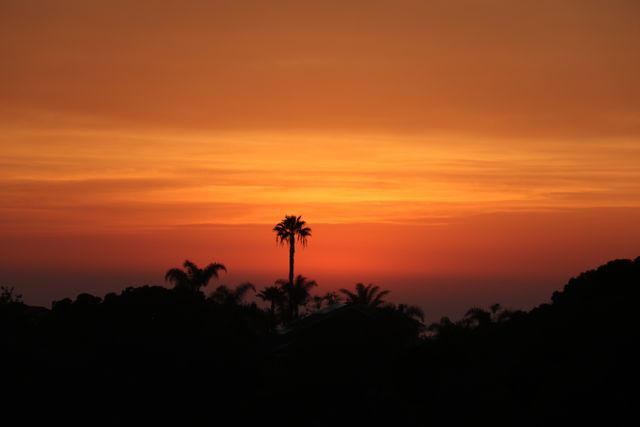 Sun Atmosphere Sunset - Download Free Stock Photos Pikwizard.com