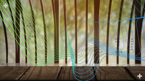 Digital Grid Over Bridge Symbolizing Data Processing