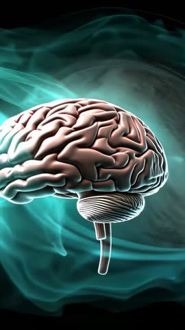 Rotating 3D Brain Model Revealing Cerebral Convolutions with Teal Energy Aura Vertical Video