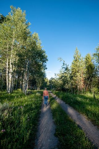 Woman Walking in Tranquil Forest Path at Daybreak