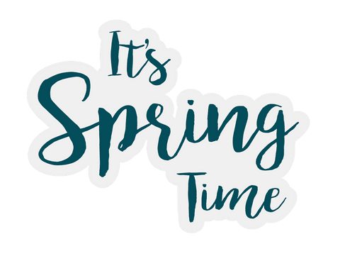 fresh spring season quote on transparent background - Download Free Stock Videos Pikwizard.com