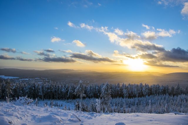 Sunset Over Snow-Covered Forest and Mountains - Download Free Stock Photos Pikwizard.com