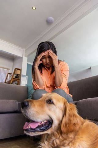 Mature woman sitting on sofa holding head in hands while golden retriever offering comfort