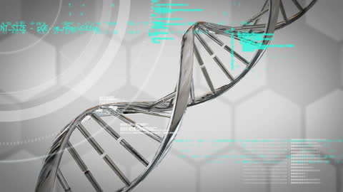 Digital DNA Strand with Data Elements