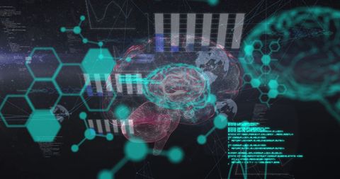 Digital Brain with Biometrics and Data Connectivity - Download Free Stock Images Pikwizard.com