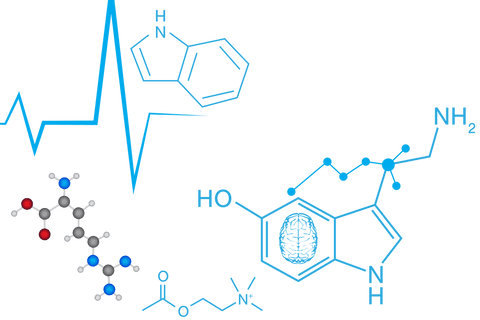 Transparent Illustration of Molecules and Heartbeat Line - Download Free Stock Videos Pikwizard.com