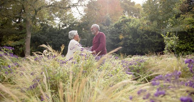 Happy diverse senior couple holding hands and dancing in sunny garden, copy space. Retirement, togetherness, love, romance, fun, nature and active senior lifestyle, unaltered.