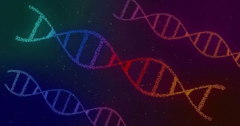 Colorful DNA Strands with Digital Interface Elements