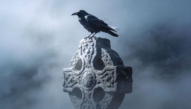 Crow perching on ornate celtic cross in thick fog, moody gothic raven graveyard scene
