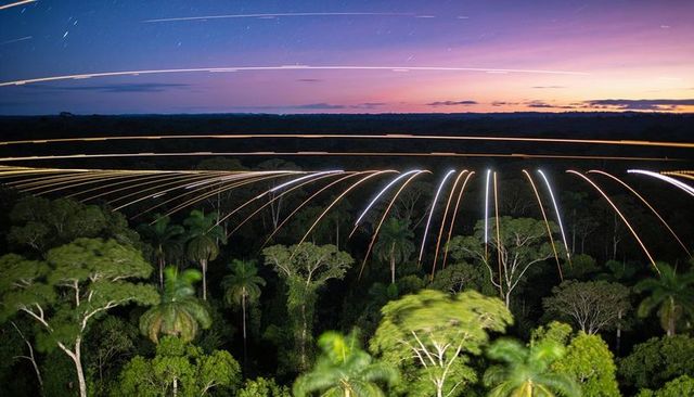 Twilight tropical canopy with curved light trails and star trails over rainforest horizon