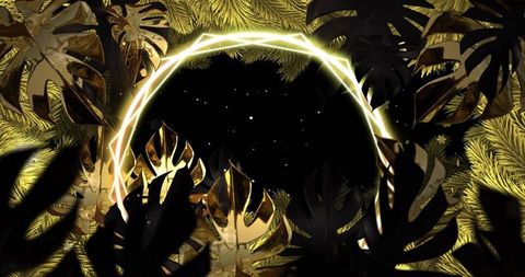 Glowing geometric halo framing cosmic void with metallic gold monstera leaves and pine
